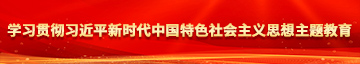 鸡吧插插免费视频学习贯彻习近平新时代中国特色社会主义思想主题教育